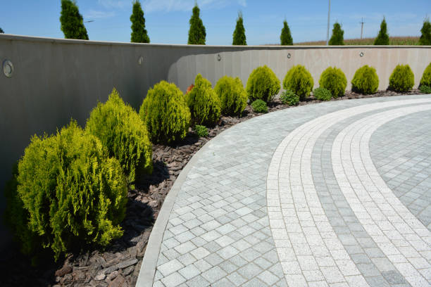Best Residential Driveway Paver Services  in Jewett City, CT